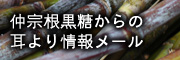 �罡���������鼪������